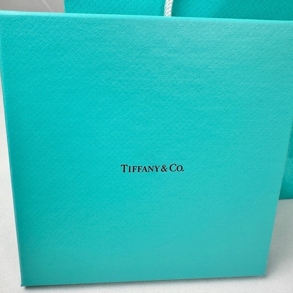 Iconic Tiffany & Co. Cardboard Gift Box - Picture 2 of 11